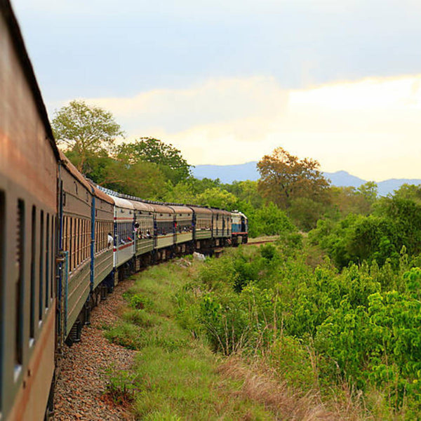 Mollow.eu révolutionne le voyage en train