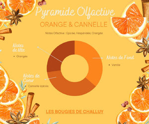 Pyramide Olfactive Cannelle  Orange Les Bougies de Challuy-fi34764048x1001
