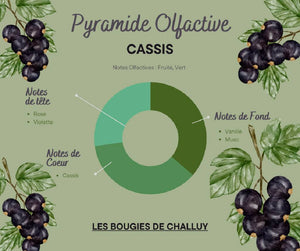 Pyramide Olfactive Cassis - Les Bougies de Challuy - Made In Nièvre-fi35134299x1001