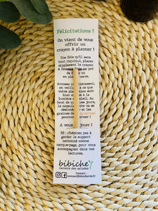 Crayon à planter Merci