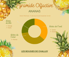 Charger l&#39;image dans la galerie, Pyramide Olfactive Ananas Les Bougies de Challuy-fi34839897x1001
