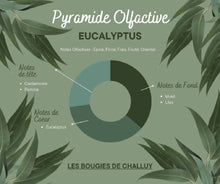 Charger l&#39;image dans la galerie, Pyramide Olfactive Eucalyptus - Les Bougies de Challuy-fi34967744x1001