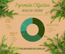 Charger l&#39;image dans la galerie, Pyramide Olfactive Bois de Cèdre Les Bougies de Challuy-fi34840741x1001