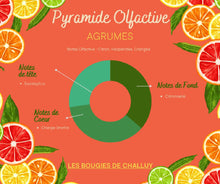 Charger l&#39;image dans la galerie, Pyramide Olfactive Agrumes Les Bougies de Challuy-fi34764045x1001