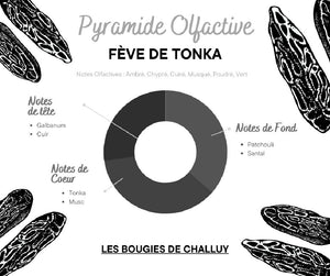 Pyramide Olfactive Fève de Tonka - Les Bougies de Challuy-fi34969567x1001