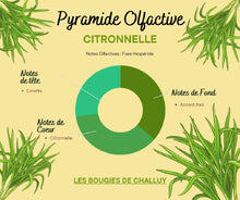 Charger l&#39;image dans la galerie, Pyramide Olfactive Citronnelle - Les Bougies de Challuy - Made In Nièvre-fi35036564x1001