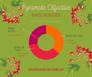 Pyramide Olfactive Baies Rouges Les Bougies de Challuy-fi34840058x1001