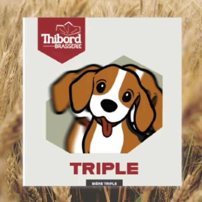 Bière auboise triple Thibord | 8% alc.