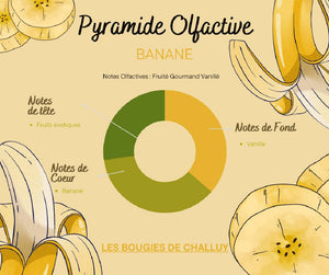 Pyramide Olfactive Banane Les Bougies de Challuy-fi34840495x1001