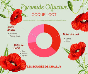 Pyramide Olfactive Coquelicot - Les Bougies de Challuy-fi34950740x1001
