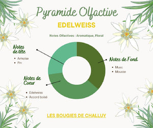 Pyramide Olfactive - Edelweiss - Les Bougies de Challuy - Made In Nièvre - Nevers-fi35517803x1001