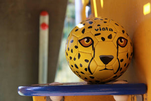 Ballon de football pour enfant Animaux | Upcyclé