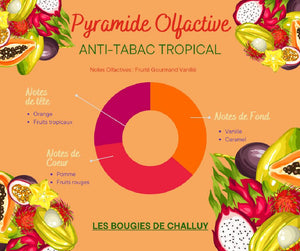 Pyramide Olfactive Anti-Tabac Tropical Les Bougies de Challuy-fi34840001x1001
