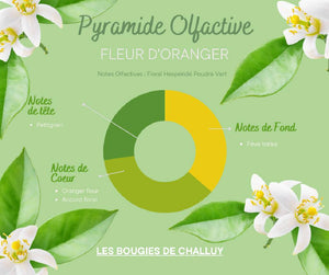 Pyramide Olfactive Fleur d'Oranger - Les Bougies de Challuy-fi34969721x1001