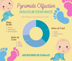 Pyramide Olfactive Douceur d'Enfance - Les Bougies de Challuy-fi34967640x1001