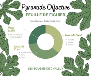 Pyramide Olfactive Feuille de Figuier - Les Bougies de Challuy-fi34969460x1001
