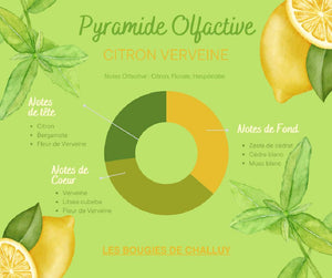 Pyramide Olfactive Citron Verveine Les Bougies de Challuy-fi34763933x1001