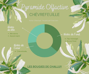 Pyramide Olfactive Chèvrefeuille Les Bougies de Challuy-fi34885010x1001